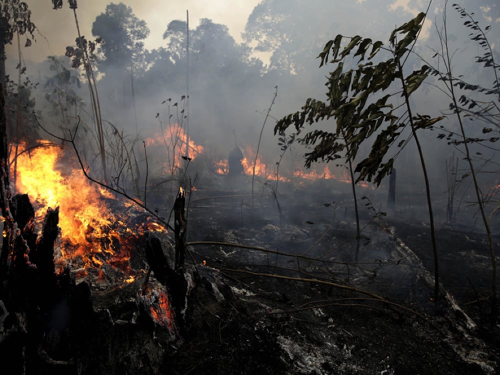 V amazonskom dažďovom pralese vypukol požiar. 