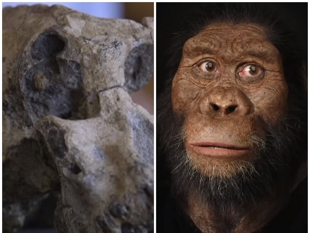 Vedci objavili lebku pračloveka starú 3,8 milióna rokov.