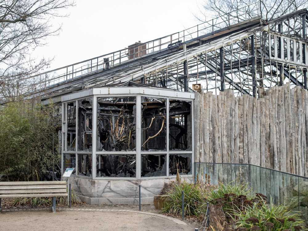 Na snímke požiarom zničený trakt pre opice v zoologickej záhrade v nemeckom Krefelde