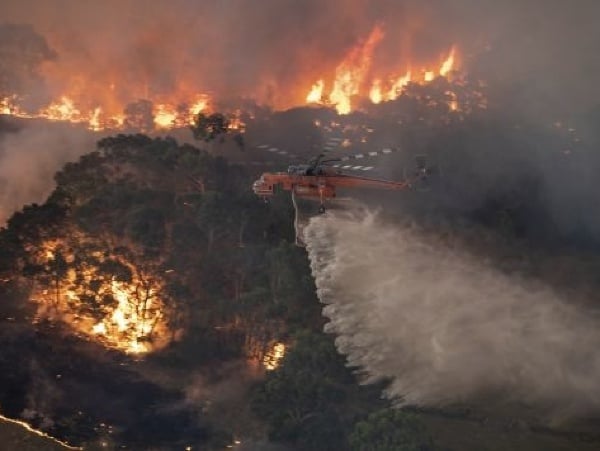 Lesné požiare v Austrálii neutíchajú. 