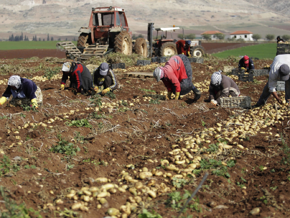 Izraelská armáda zablokovala vývoz poľnohospodárskej produkcie z palestínskych území.