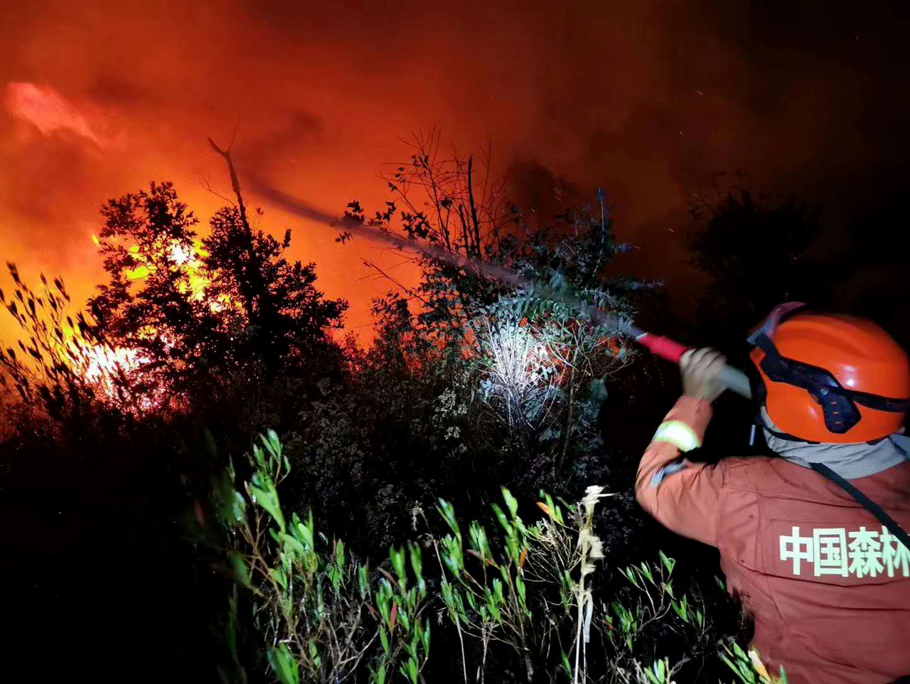  Pri boji s lesným požiarom zomrelo 19 osôb