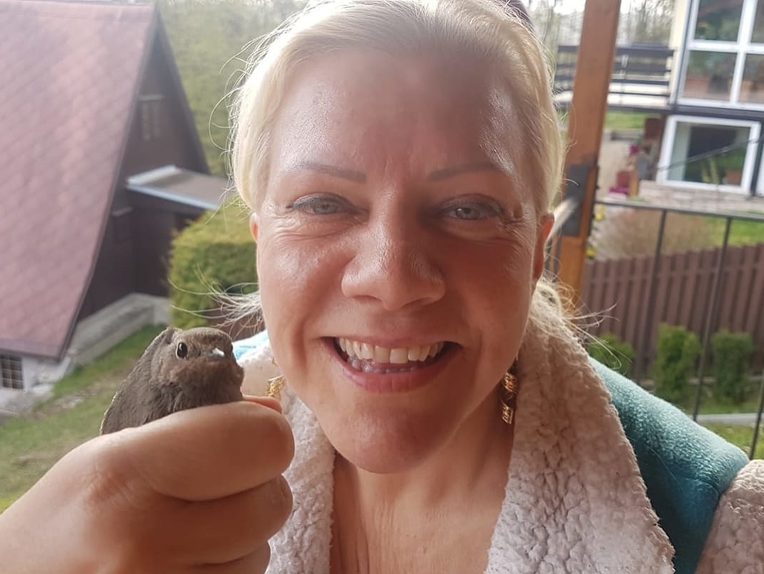 Ilustračný obrázok