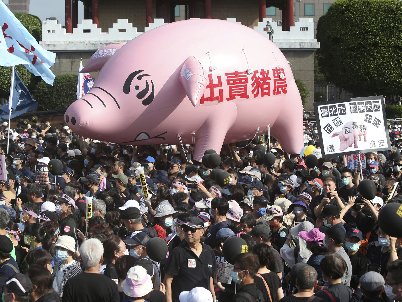 Na snímke demonštranti s obrovským nafukovacím prasaťom so sloganom Zrada chovateľov ošípaných počas protestu v taiwanskej metropole Tchaj-pej
