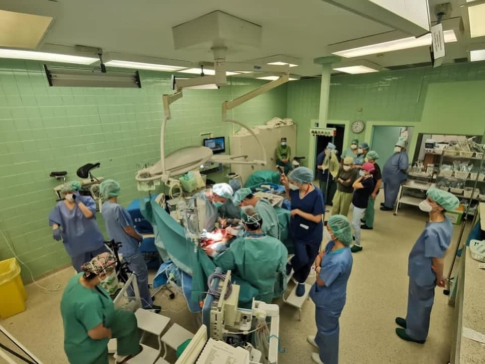 Ilustračný obrázok