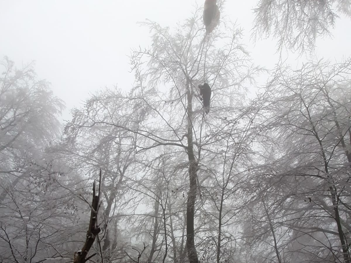 Päť hodín trvala záchrana paraglajdistu zo stromu na Bukovej