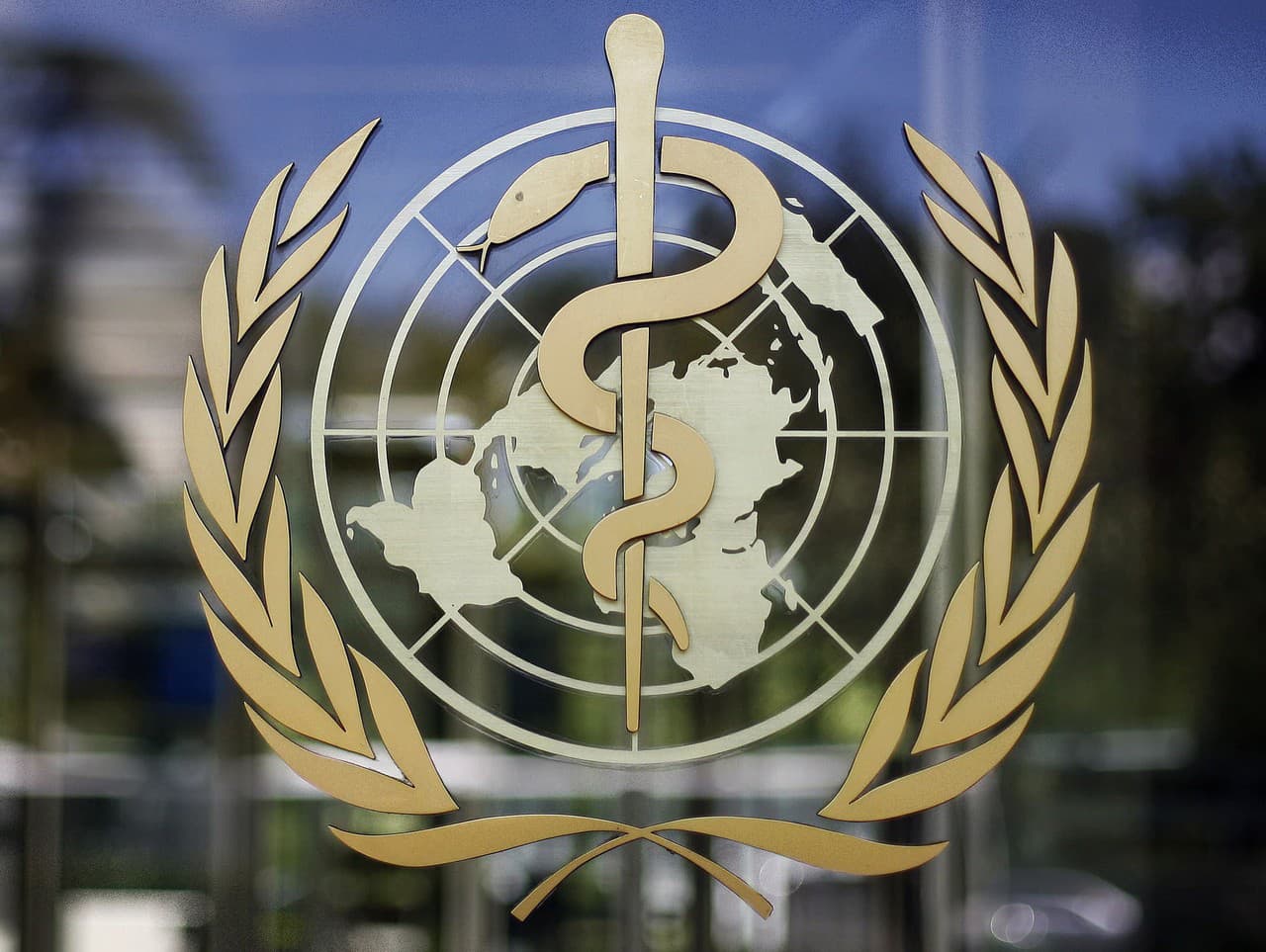 Svetová zdravotnícka organizácia (WHO)
