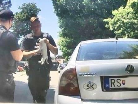 Polícia zachránia psíka z rozhorúčeného auta