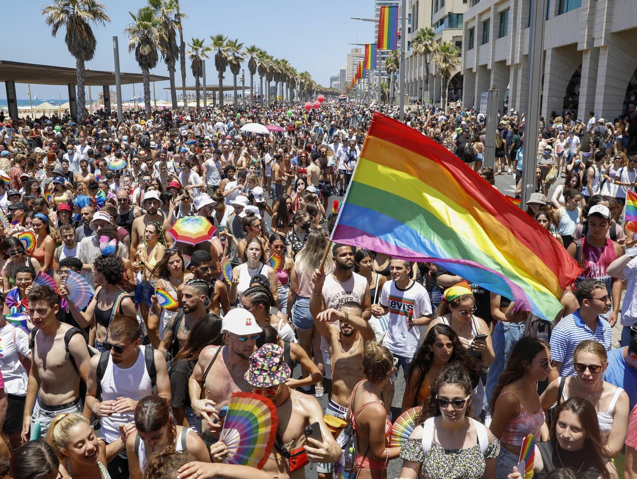 Izraelský Najvyšší súd priznal homosexuálnym párom a slobodným mužom právo mať dieťa prostredníctvom náhradnej matky.