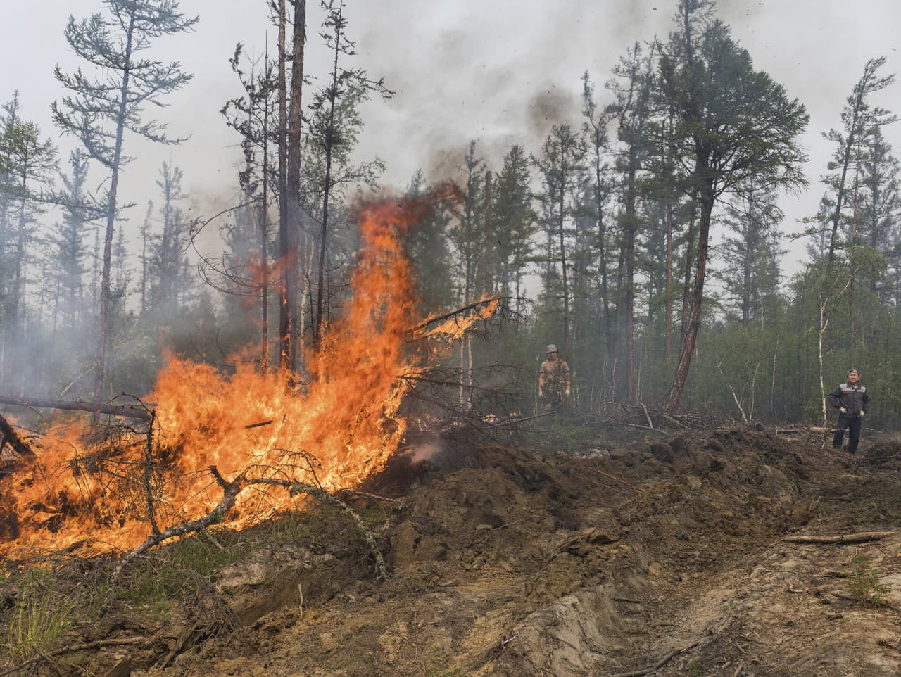 V Rusku evidujú viac ako 400 lesných požiarov