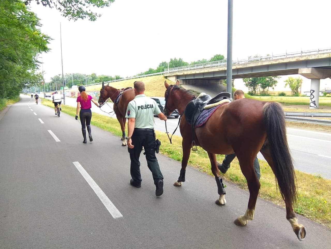 Policajti z poriečnej polície zachraňovali splašeného koňa na ceste