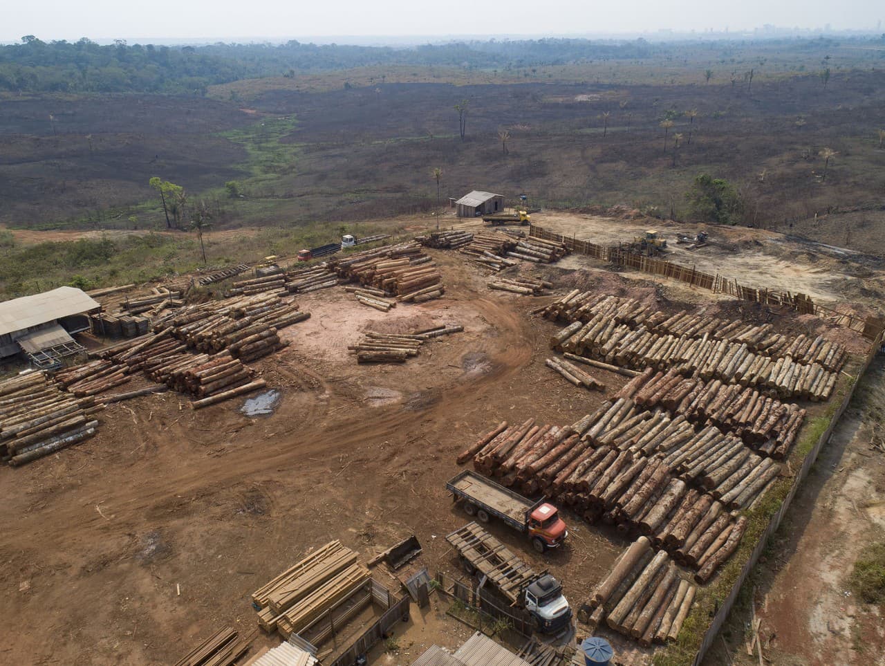 Miera odlesňovania v Amazonskom pralese narástla