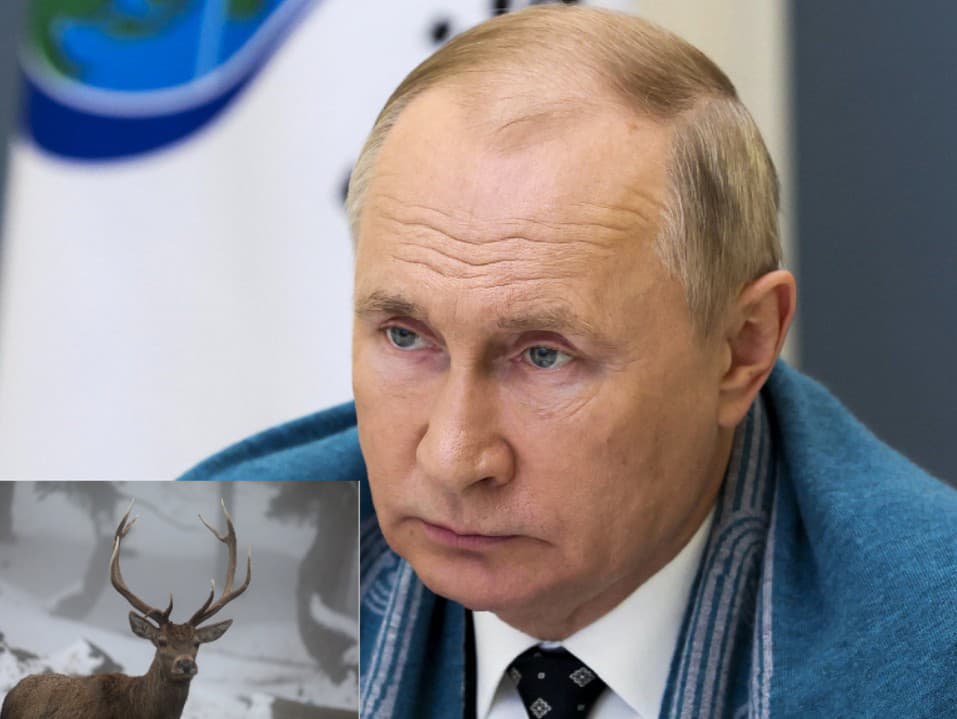 Prezident Ruskej federácie Vladimír Putin 