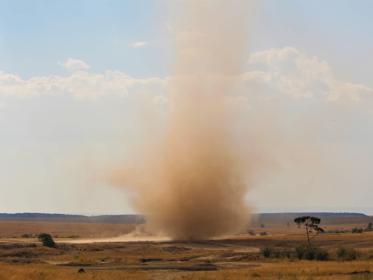 Dust devil, Masai Mara, Kenya