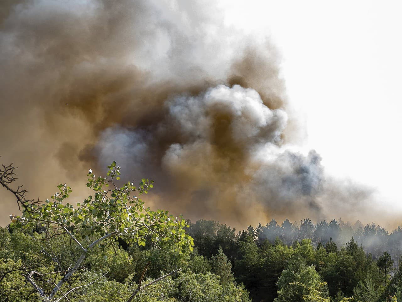 Vplyvom sucha a horúčav vzniká v Maďarsku denne v priemere sto požiarov v lesoch, na lúkach a poliach.