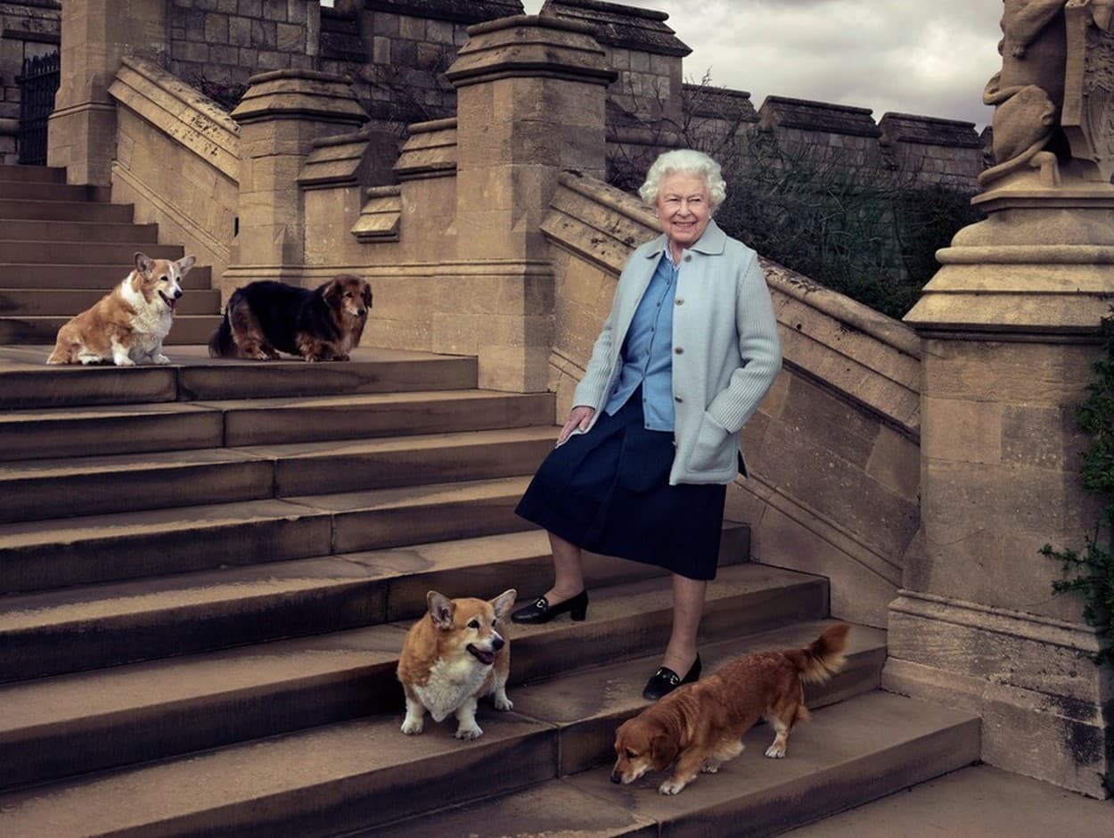 Kráľovná Alžbeta II. milovala svoje psy.