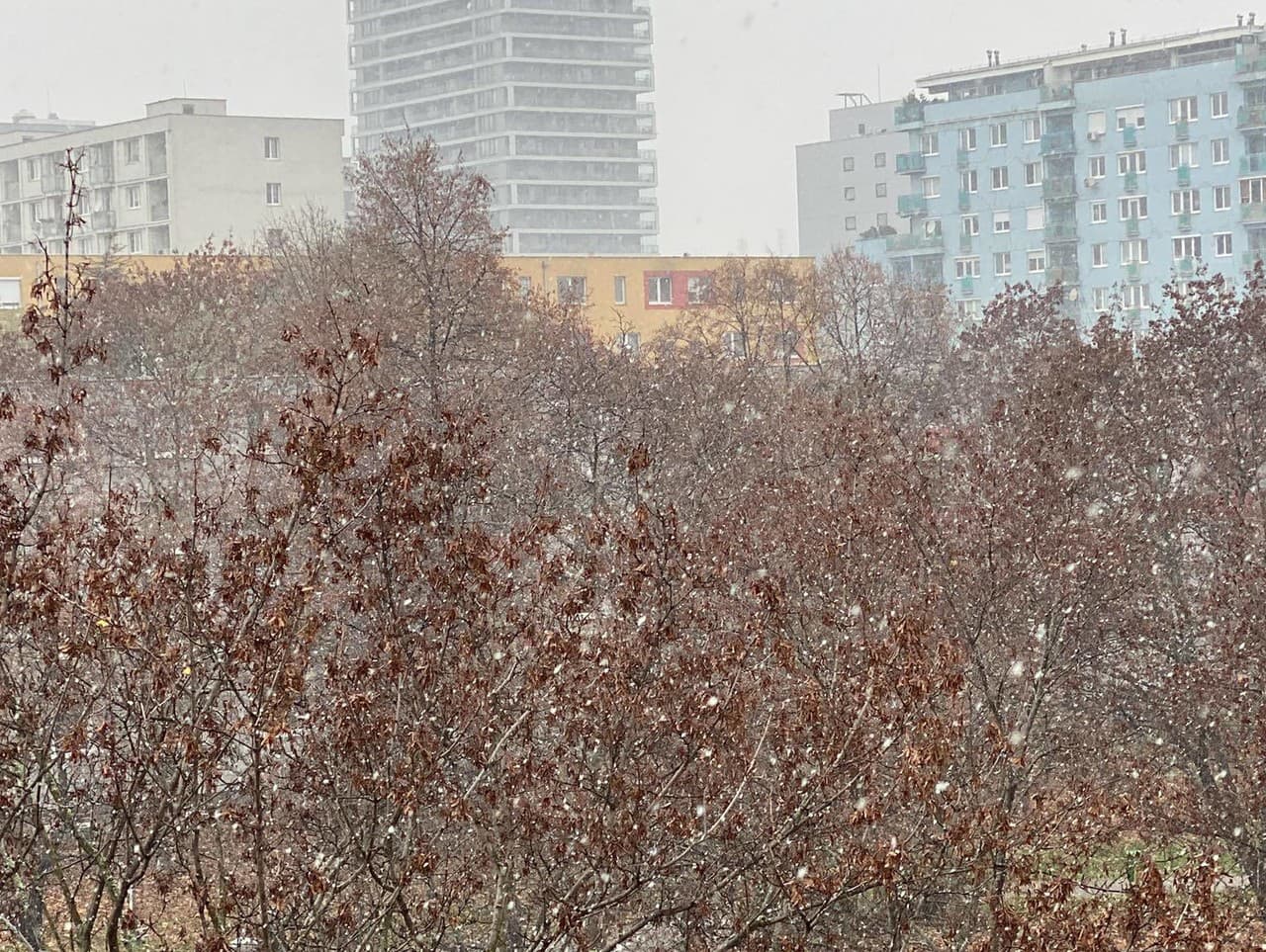 Bratislavu zasiahol prvý sneh.