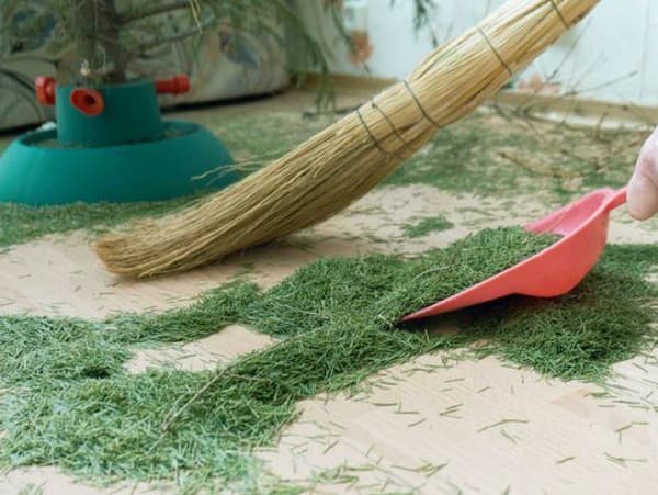 Ilustračný obrázok