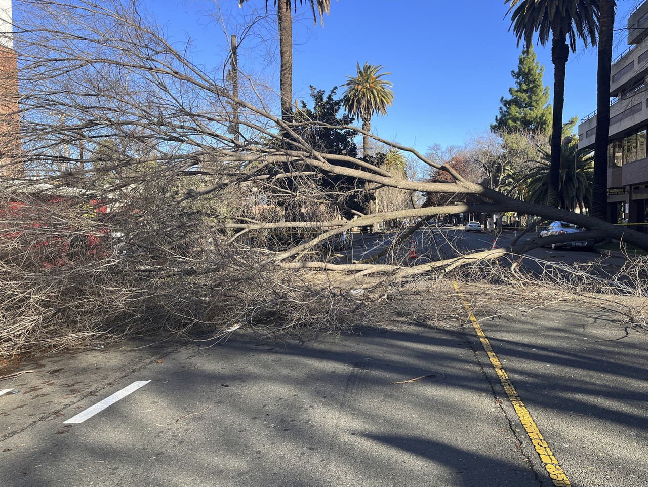 Spadnutý strom blokuje ulicu v Sacramente