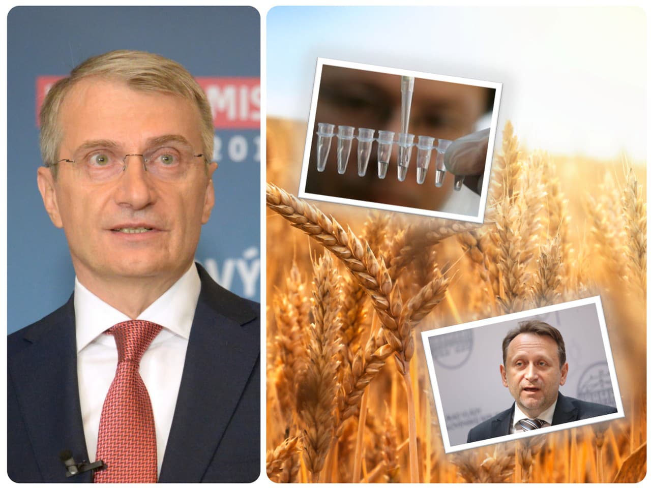 Robert Mistrík vysvetľuje, ako sa v obilí zisťujú škodlivé látky: Mlyn Kolárovo sa zastáva kvality pšenice.
