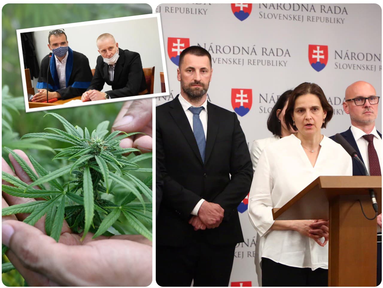 Strana SaS s Máriou Kolíkovou reagujú na odsúdenie J. Šipoša za pestovanie marihuany.
