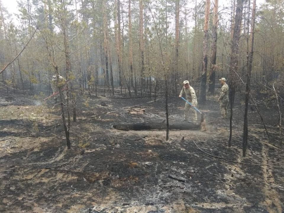 Hasenie rozsiahlych lesných požiarov.