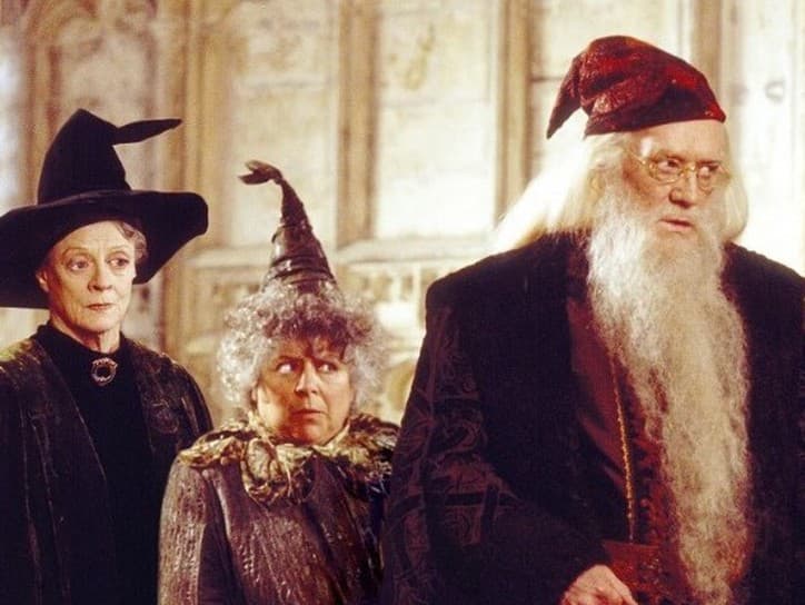 Miriam Margolyes hviezdila aj vo filmovej sérii Harry Potter