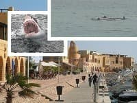 V egyptskej Hurghade zabil mladíka žralok
