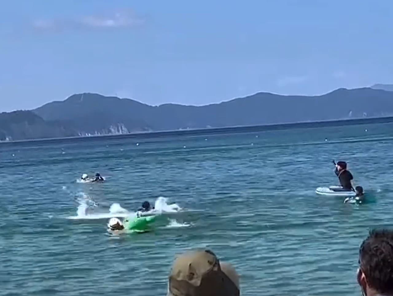 Útok delfína na obľúbenej japonskej pláži zachytili kamery