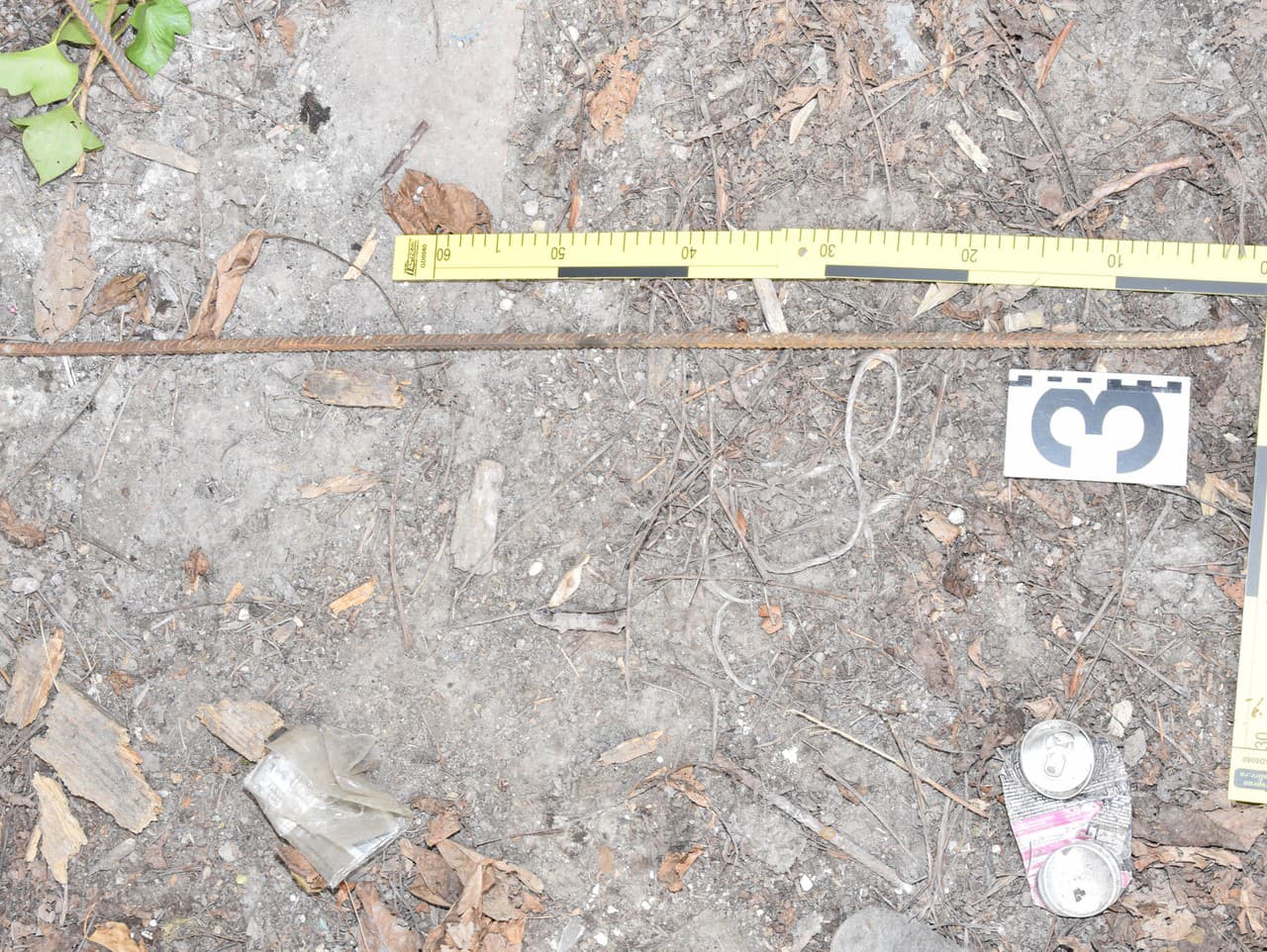 Polícia obvinila muža, ktorý zabil psa roxorovou tyčou