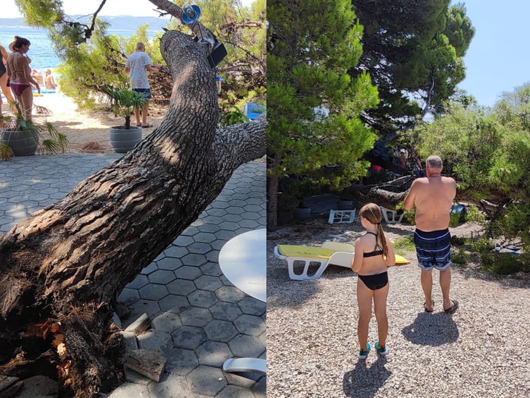 Na chorvátskej pláži spadol obrovský konár z borovice, zranilo sa niekoľko turistov