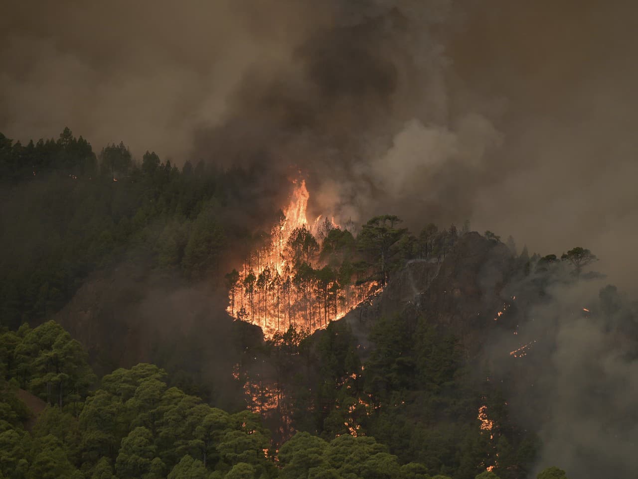 Lesný požiar na Tenerife