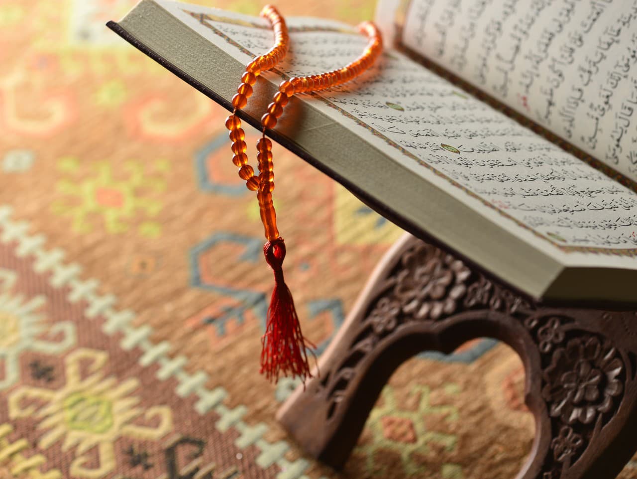 Na Demonštrácii Krajnej Pravice V Holandskom Haagu Roztrhali Korán