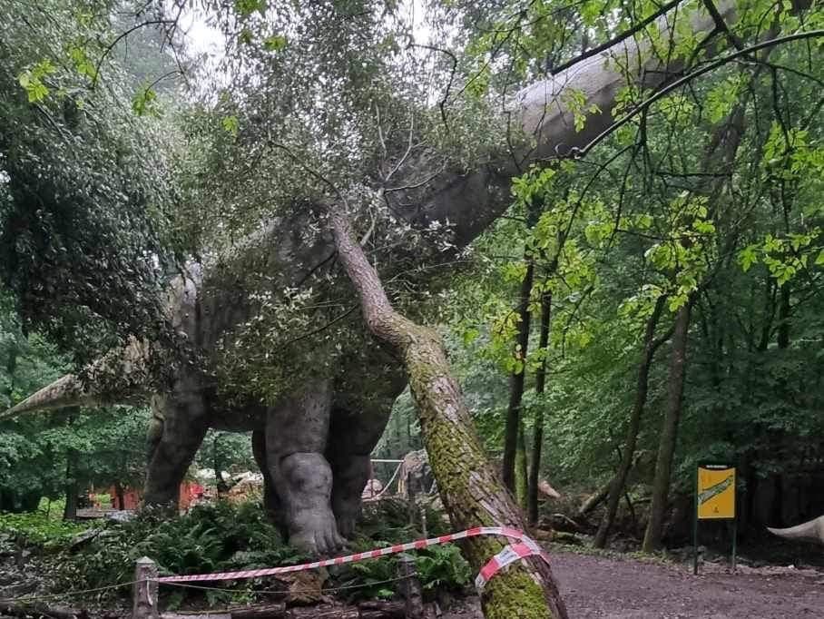 prívalovým dažďom spôsobili škody v košickej zoo