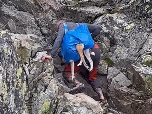 Turista lezie po tatranských skalách so psom, ktorého ma zaveseného v taške na pleci. 