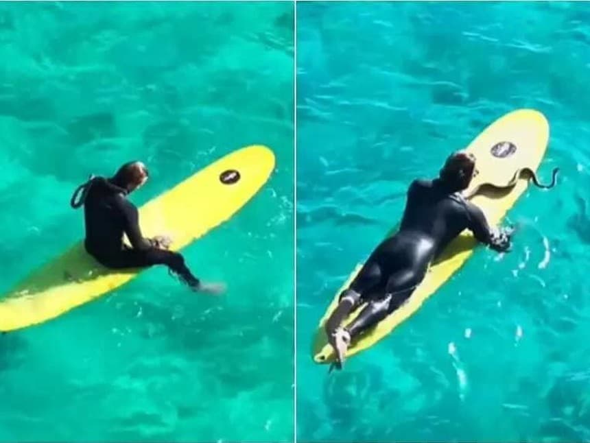 Austrálčan dostal pokutu za surfovanie so svojím domácim miláčikom 