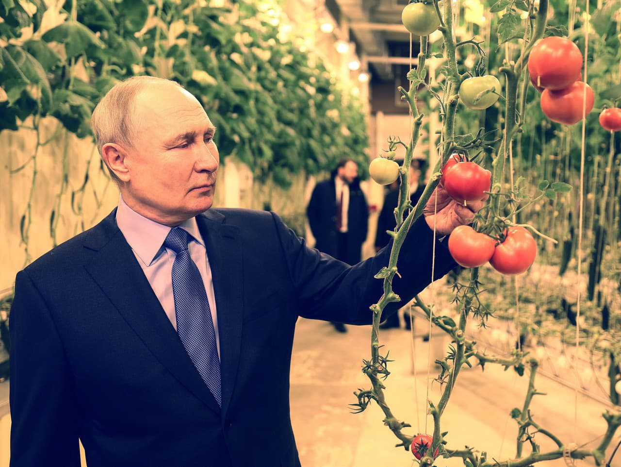 Vladimir Putin navštívil skleník. 