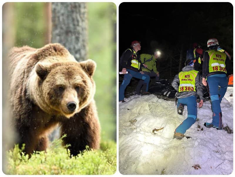 Prenasledovaná žena zomrela po páde strmým terénom, medveď sa údajne nachádzal pri nej