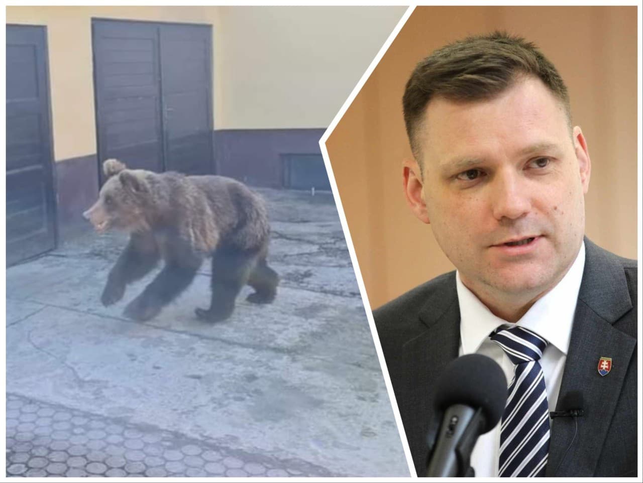 Tomáš Taraba v stredu oznámil, že nebezpečného medveďa z Liptovského Mikuláša odstrelili