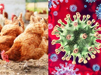 Ilustračný obrázok