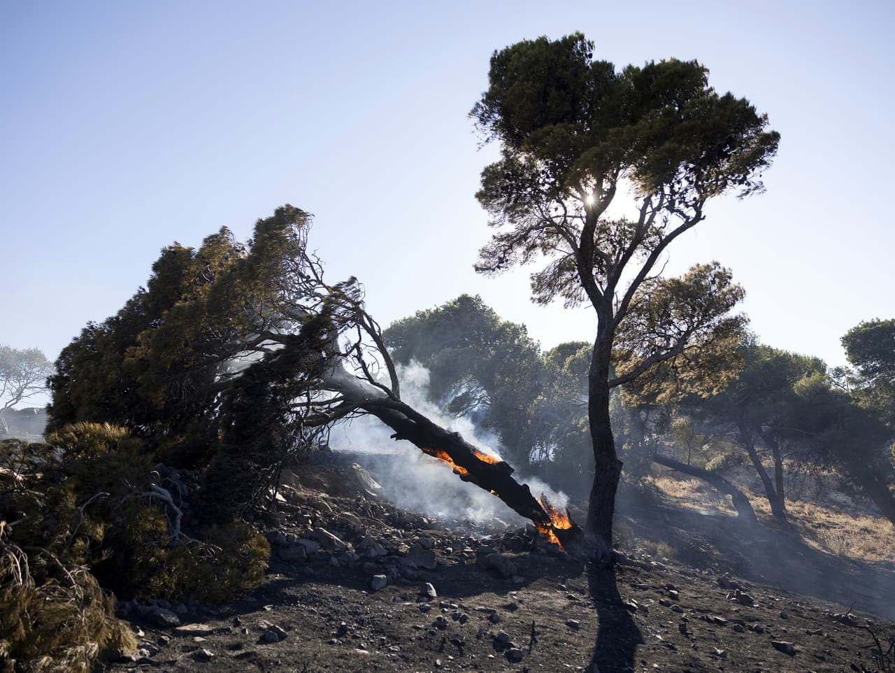Lesný požiar v oblasti pobrežného mesta Keratea