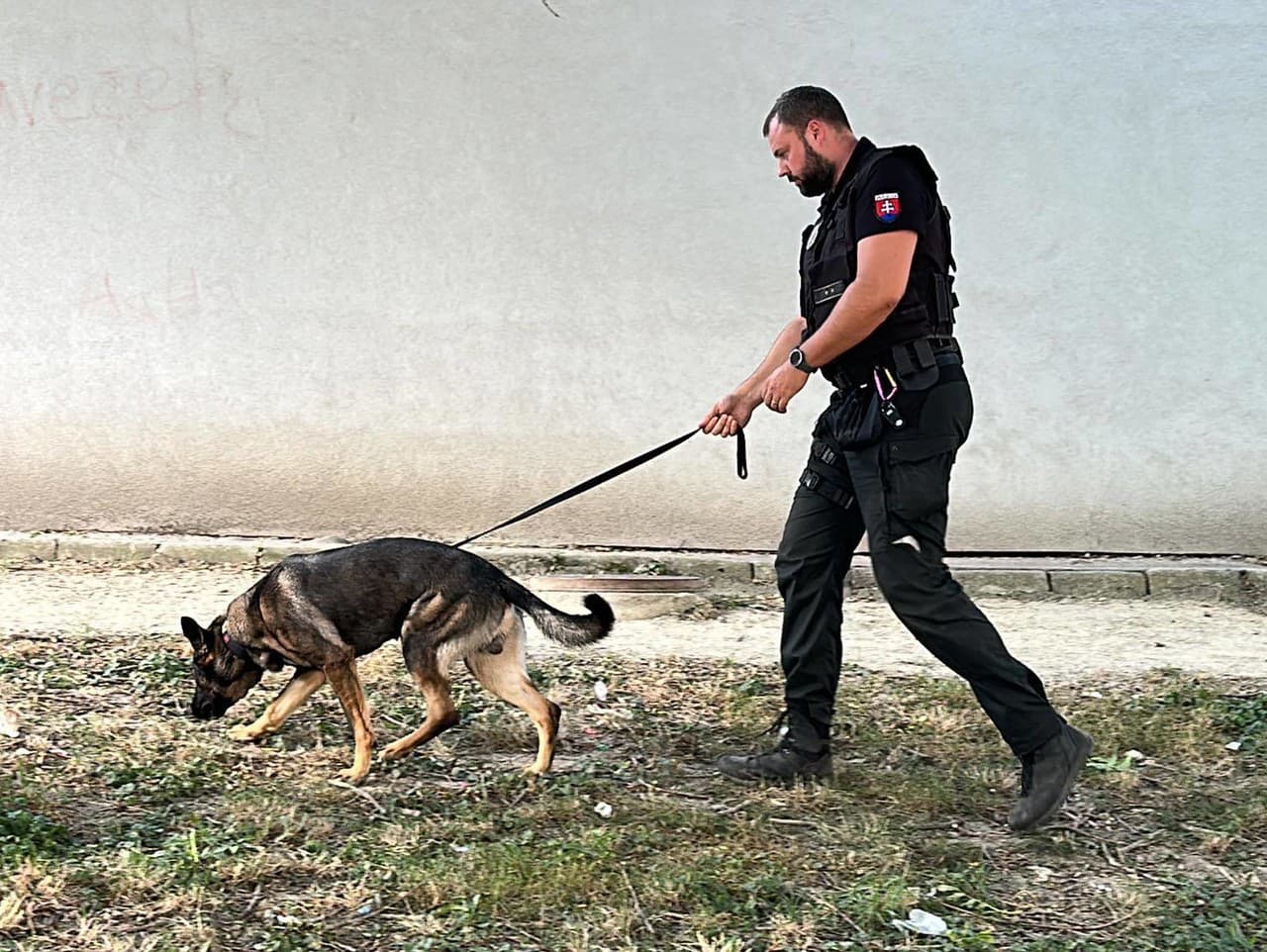 Polícia prehľadáva okolie. Svedkovia im nahlásili streľbu.