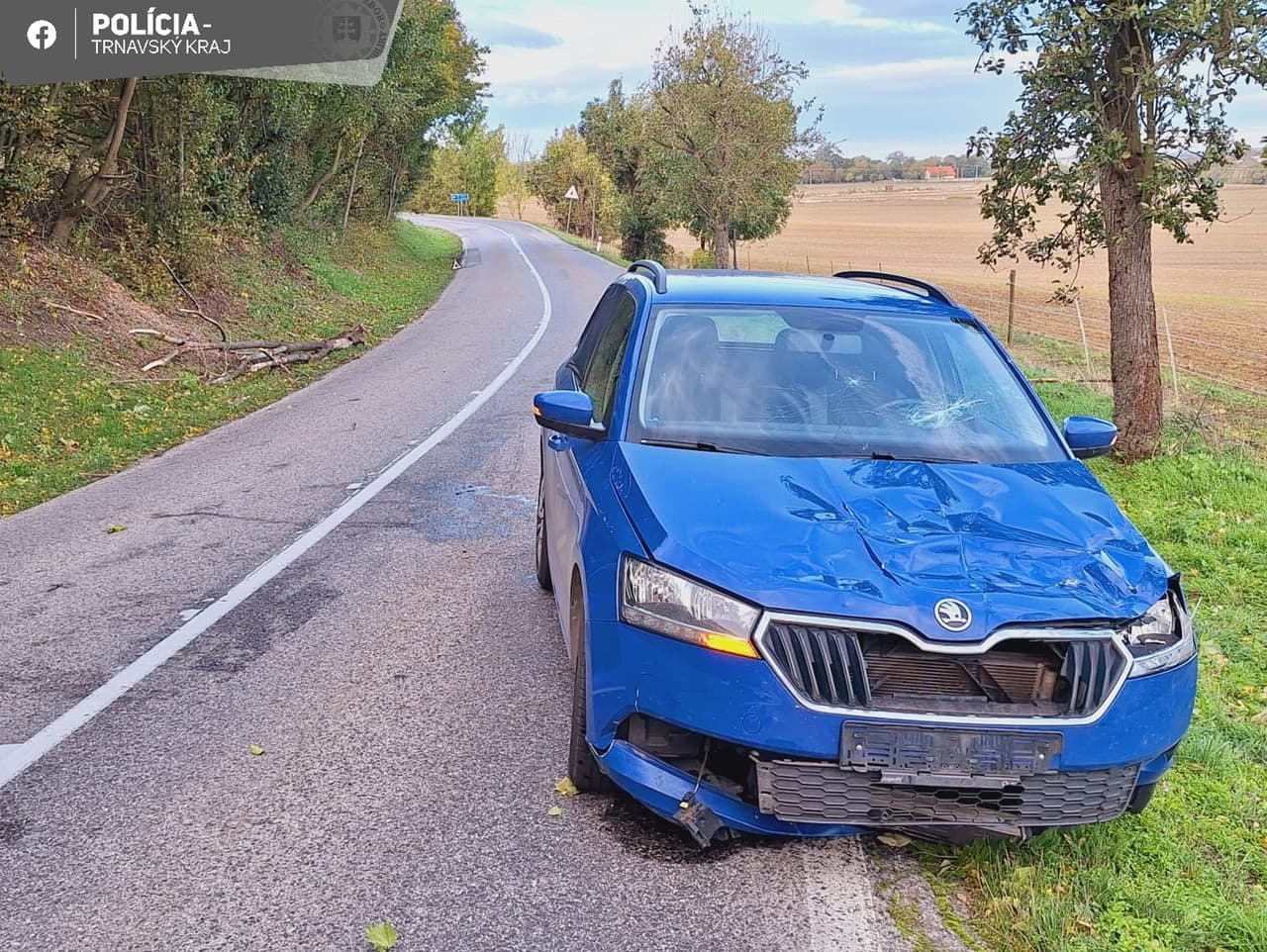 Na idúce auto spadol odlomený strom