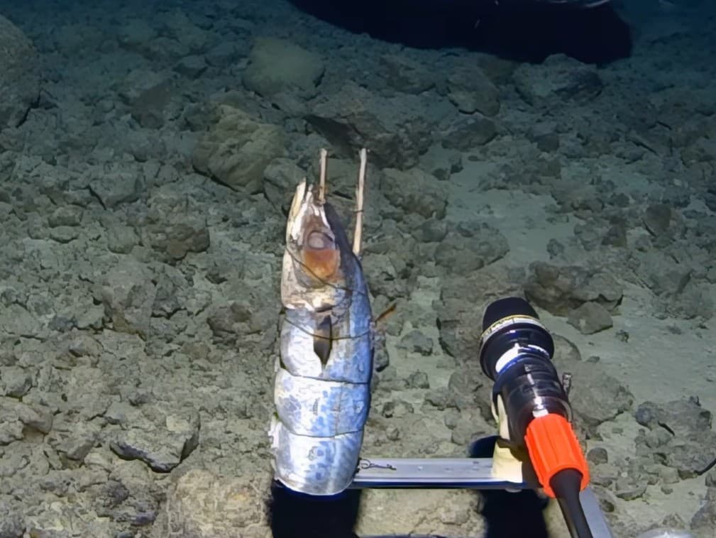 Ilustračný obrázok