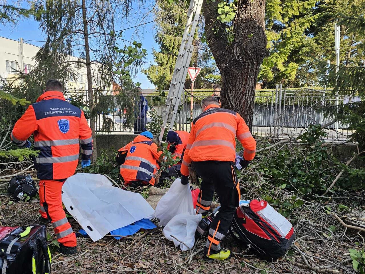 Ilustračný obrázok