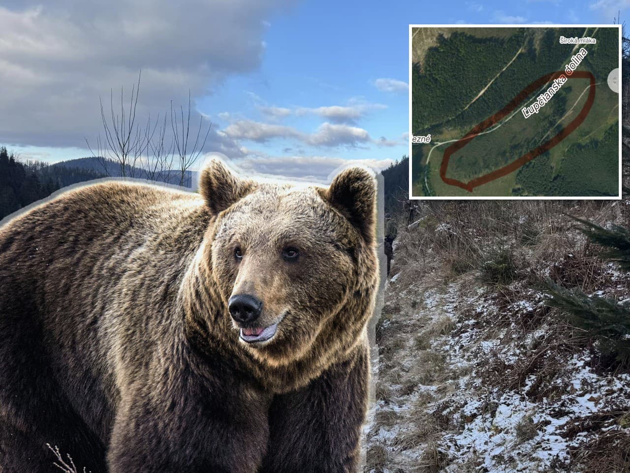 Ilustračný obrázok