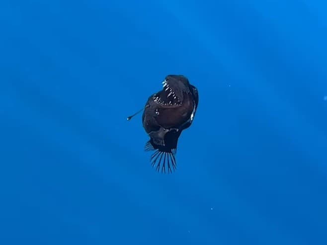 Ilustračný obrázok