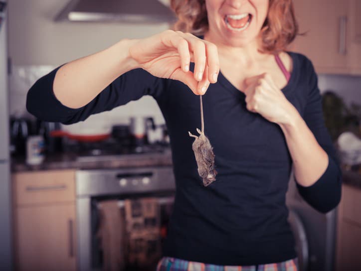 Zákazníčka objavila telo mŕtvej myši v balení mrazeného špenátu