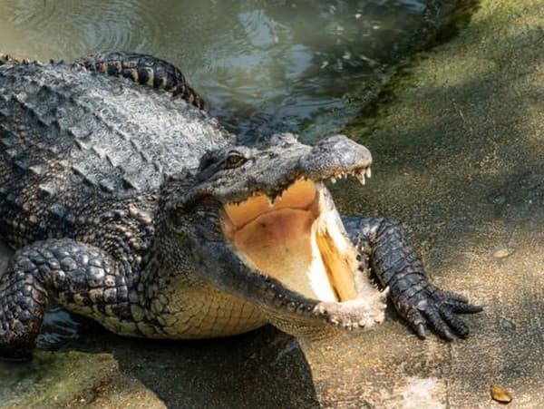 Ilustračný obrázok