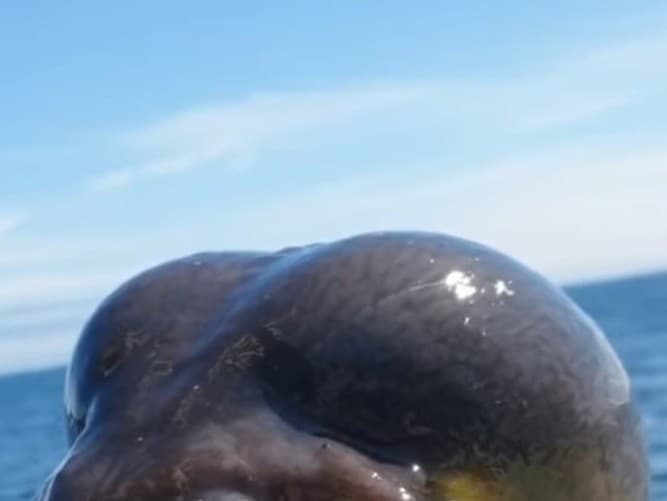 Ilustračný obrázok